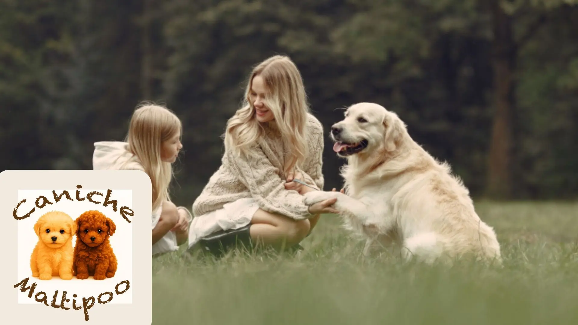 Cachorros socializando en Bages Dog