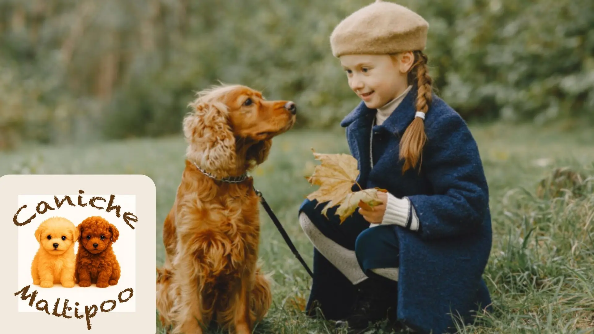 Golden Retriever como perro ideal para niños