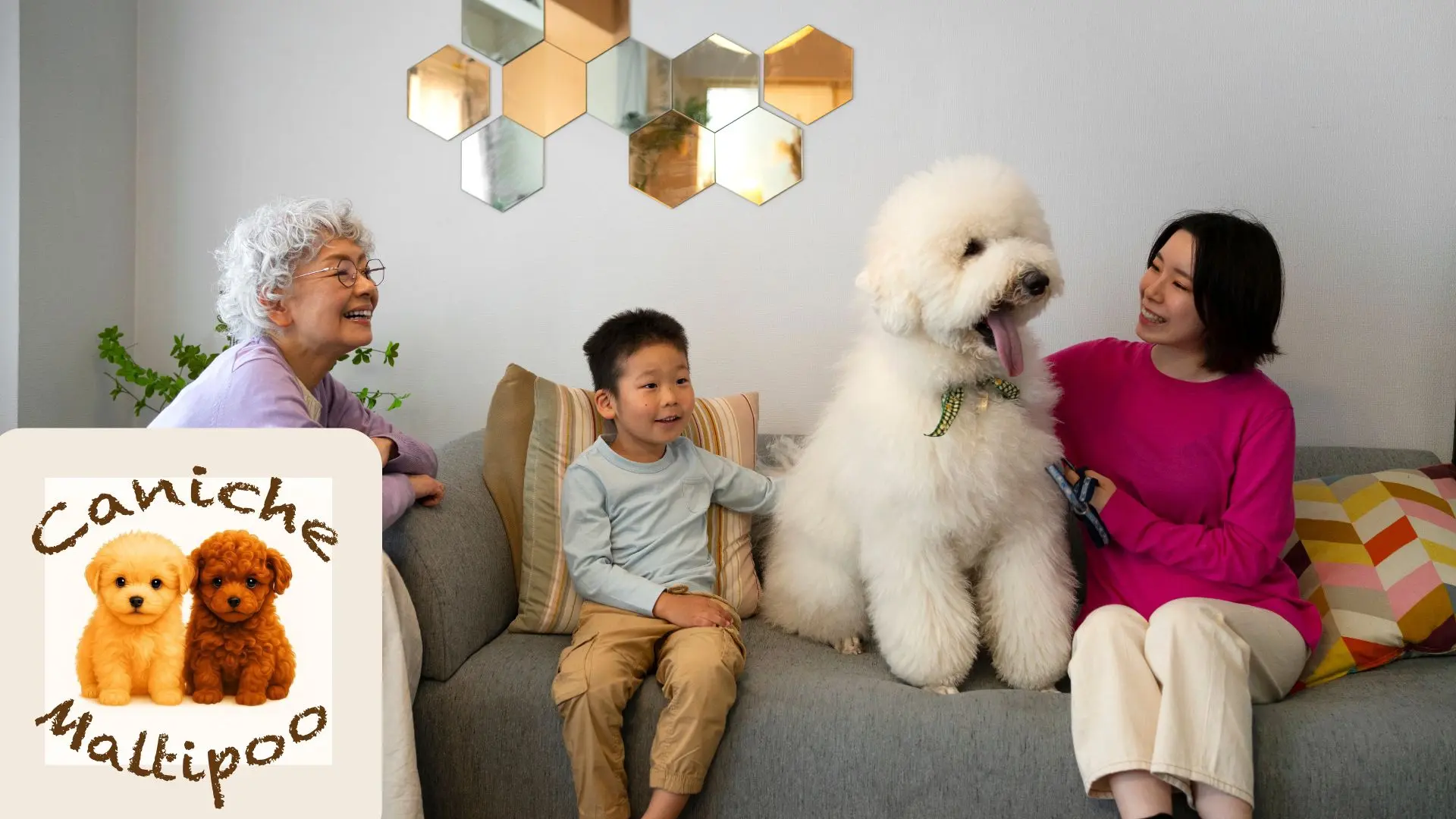 Cachorros socializando en Bages Dog